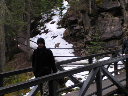 Steve on Bridge