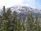 Mountain with Snow in Trees