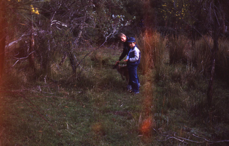 20 Peter and Steven with Kangaroos