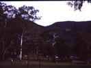 25 Caravan Halls Gap