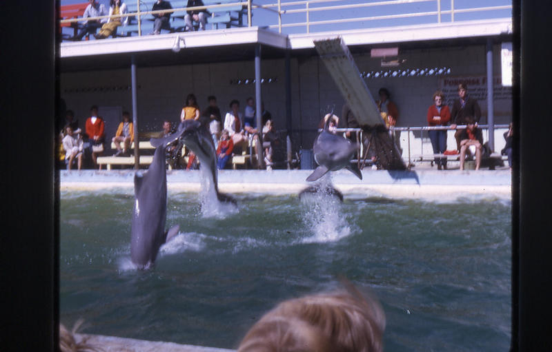 Marineland 4