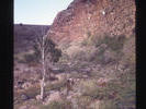 Devils Kitchen Ballarat