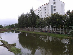 Floods at Thammasat Uni