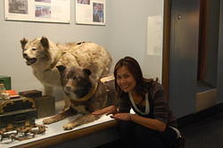 Two Dogs of Antarctica