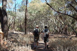 Brenton and Steve starting the morning hike