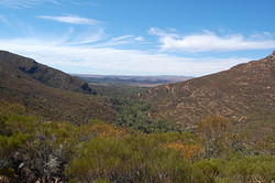 Flinders Ranges