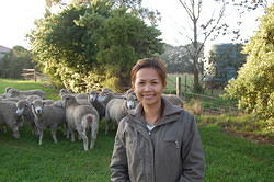 Wan with Crutched Sheep