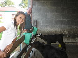 Dad and Wan feeding the calves